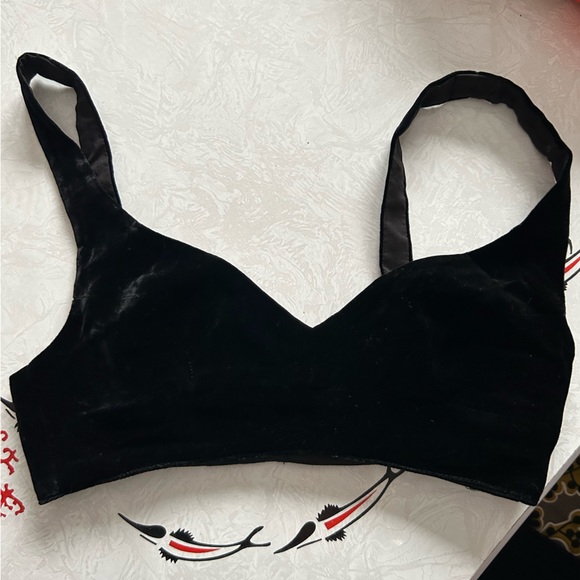 Aritzia Other - Aritzia babaton velvet bralette top